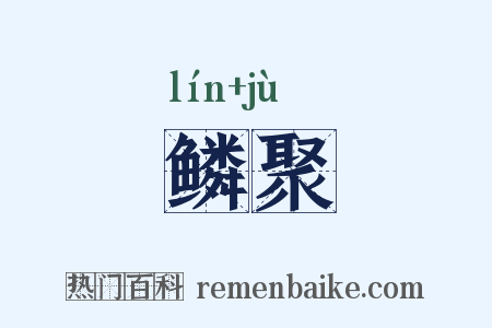 鳞聚是什么意思的图片